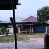 letmising