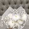 merna.amer8