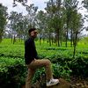 agung.bonza