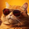 cat.life42