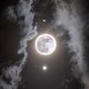 tasneemhassan214