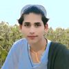 zia.kakar.ptm