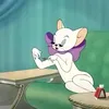 missf20tom2