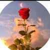 user71762810061981
