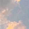 seymoss_11