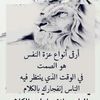 user1703659730506