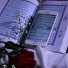 danar.sarhad