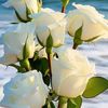 user9362051180410