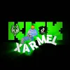 xarmel1