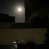صقر نجران 🦅