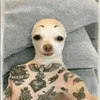 timmybadknuckles