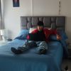 tomas_p2011