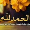 user3231218396309