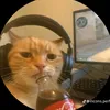 nando_rp7