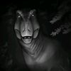 hisyam_095