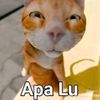 mahardhikaa13