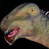 nigersuaurus.official