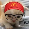 笑|•ᴏғғɪᴄɪᴀʟ ᴋᴜʀᴛᴢシ︎