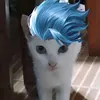 gwapongpusa