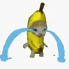 toimuonmuaipad