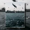 vytrn298