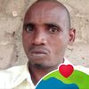 sorah12446