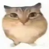 cocaiconcachahahahaha3