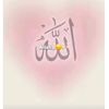 user5270516194561
