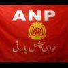 rohail1029