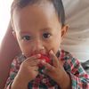 lambert_camdenzpp