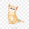 user5850765450417
