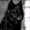 rainethetherian