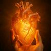 medicalnotes5