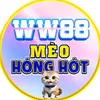 W͙W͙8͙8 MÈO HÓNG HỚT