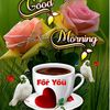 md.solman487