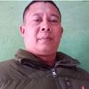 dinta447