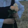 za6inb