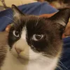 olivamarcia