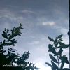 wahabjanjua01