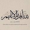 asmamidf8dn