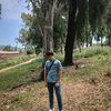 ayoub__36_2