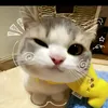 user1611991794