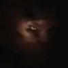 mus.man01