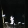 ghostboy.com17