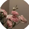 zohya_08