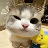 phamngocthaonguyenn