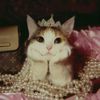 subha_chattha
