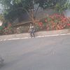 muhammed.kemalo