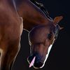 stridaway_pabl01
