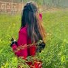 enfay55